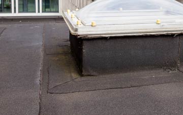 disadvantages of Egton Bridge flat roofs