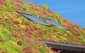 Egton Bridge living roof systems